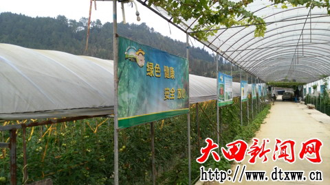 永强农场一角.jpg