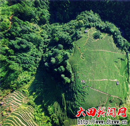 吴山葫芦岩茶山（温欣孝摄）.jpg