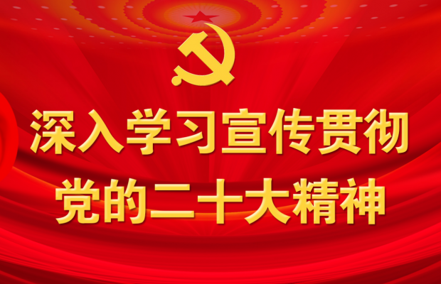  党的二十大宣传专区