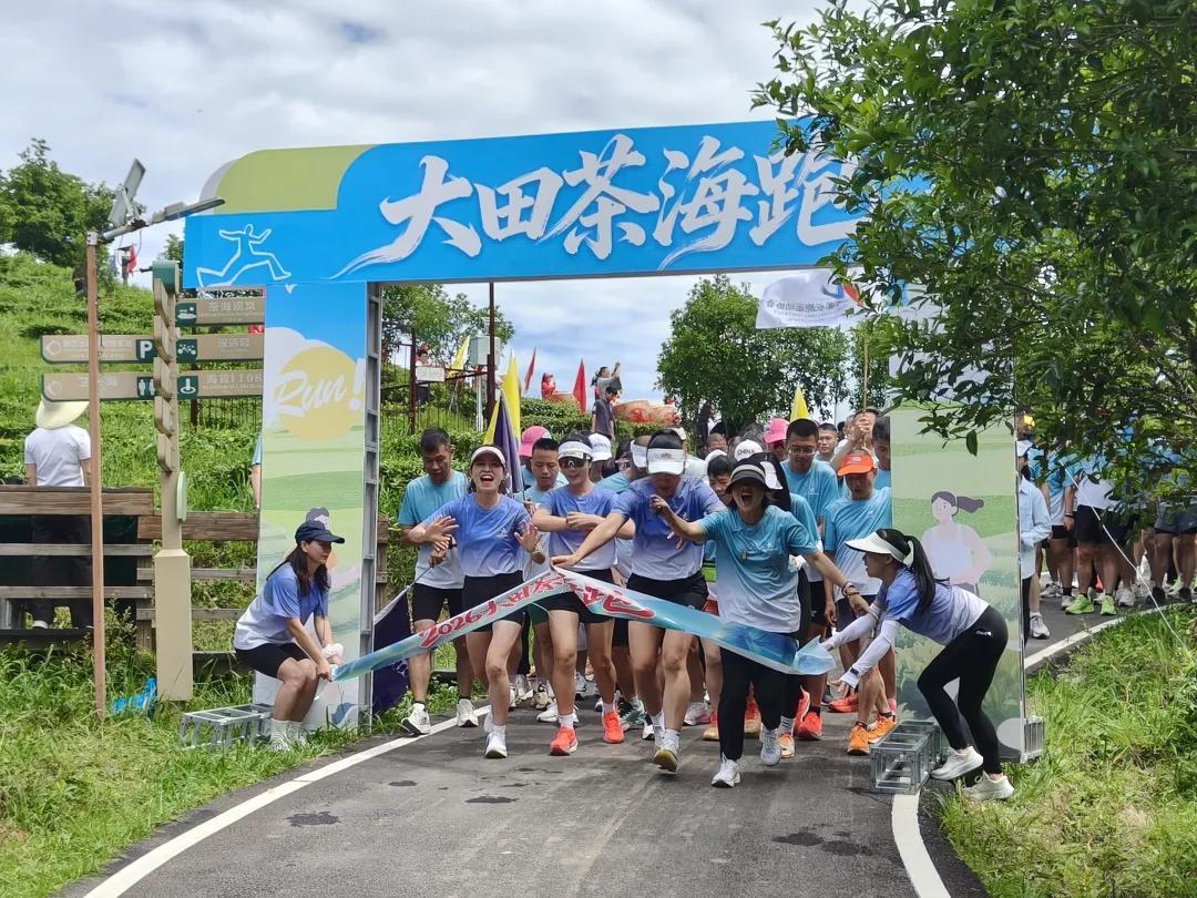  2026年国际茶日暨第六届大田美人茶开茶活动举行